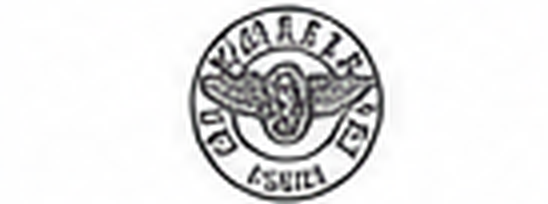 Bertazzoni logo